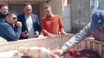 حملات بيطرية     