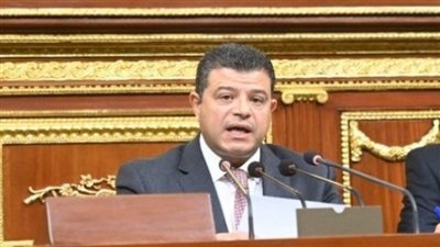 النائب محمد سليمان    