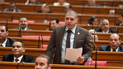 النائب أحمد الجبيلي     