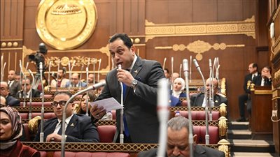 النائب محمد الجندي    