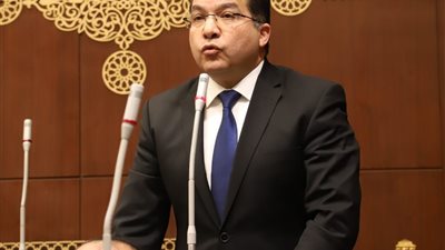 النائب عادل اللمعي     