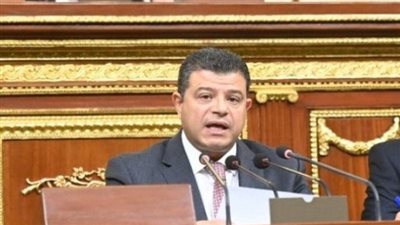 النائب محمد سليمان     