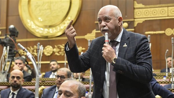 النائب حازم الجندي     