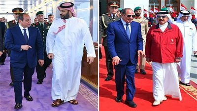 الرئيس عبد الفتاح السيسي    