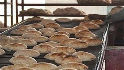 مخالفات المخابز بالقليوبية    