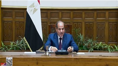 الرئيس عبد الفتاح السيسي    