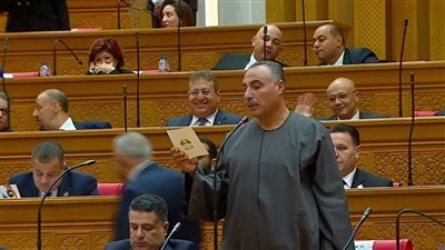 النائب ابراهيم خليف    