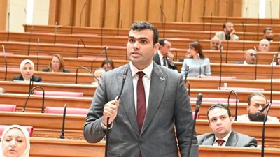 النائب حسين هريدي    