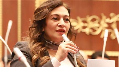 النائبة نيفين فارس    