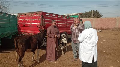 حملات بيطرية    