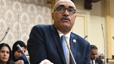 النائب إيهاب منصور     