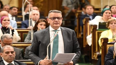  النائب طارق رضوان    