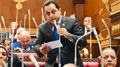 النائب محمد الجندي    