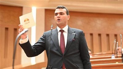 النائب حسين هريدي    