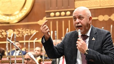 النائب حازم الجندي    