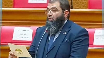 النائب حمادة سليمان    