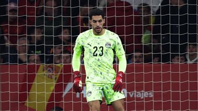 مصطفى شوبير     