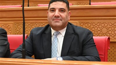 النائب أحمد عبد المجيد    