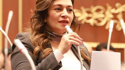 النائبة نيفين فارس    