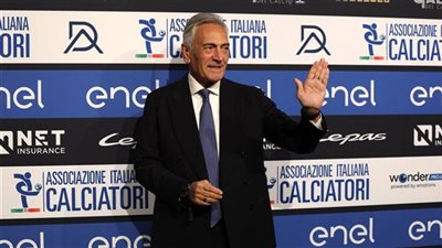 جابرييل جرافينا    