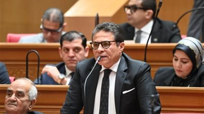 النائب طاهر الخولي     