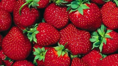 فراولة - أرشيفية    