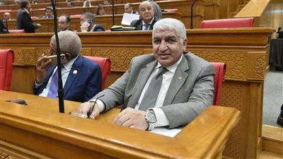 النائب أشرف سعد سليمان    