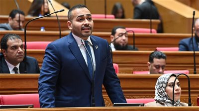 النائب أحمد ناصر    