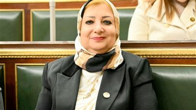 النائبة نسرين عمر     