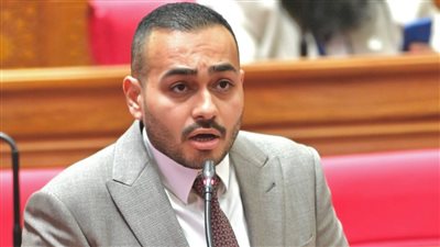 النائب أحمد ناصر    