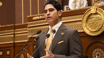 النائب أحمد أبو هشيمة     