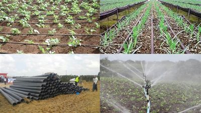 ترشيد الاستهلاك الزراعي    