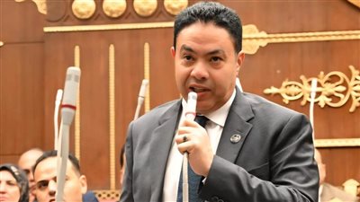 النائب إسماعيل الشرقاوي    