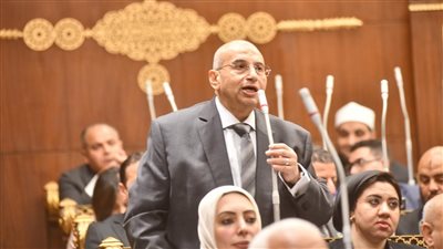 النائب أشرف عبد الغني    