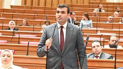 النائب حسين هريدي    