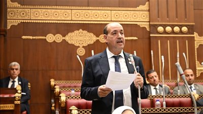 النائب أحمد سيد أحمد    