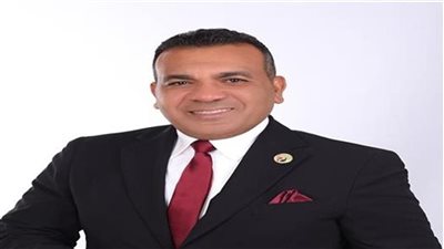 النائب أشرف مرزوق     