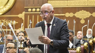 النائب حازم الجندي    