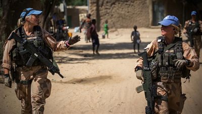 الصراعات والدول النامية    