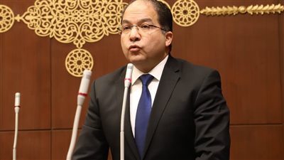 النائب عادل اللمعي     