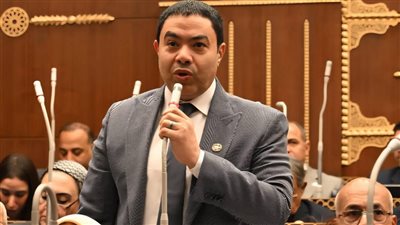 النائب إسماعيل الشرقاوي    