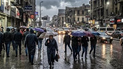 تقلبات جوية في مصر    