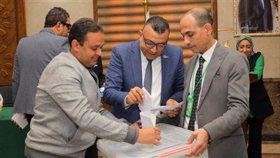 جانب من الانتخابات     