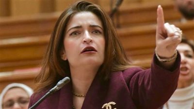 النائبة ايرين سعيد     