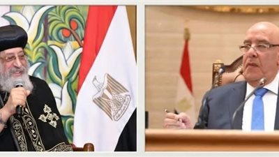 المستشار هشام بدوي     