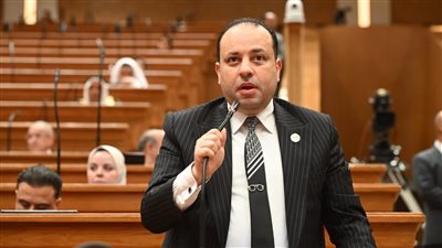 النائب وليد خطاب    