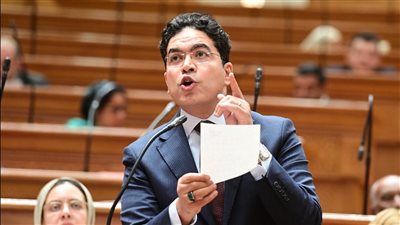 النائب ضياء الدين داود    