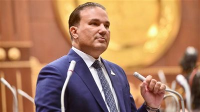 النائب تامر عبد الحميد عضو مجلس الشيوخ    