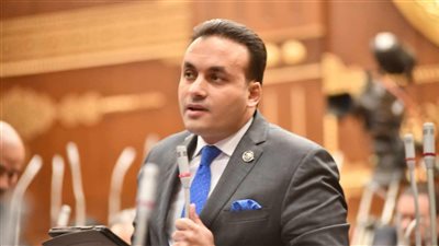 النائب عمرو فهمي عضو مجلس النواب    