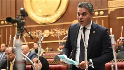 النائب مجدي البري     